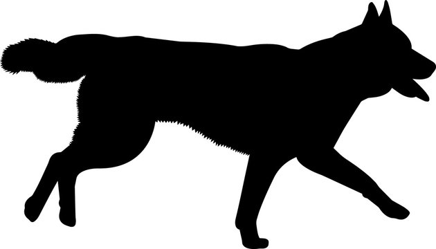 Download Siberian Husky 4 Isolated Vector Silhouette Stock Vector Adobe Stock
