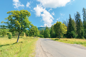 old country road in to the mountains. nature scenery with trees along the way. sunny summer landscape with clouds on a blue sky