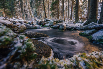 Beautiful long exposure photograph of a stream or creek in winter. Water flowing through winter, spring or autumn wood. Rocks in a river, motion blur. Hamersky potok in Sumava national park, Czechia.