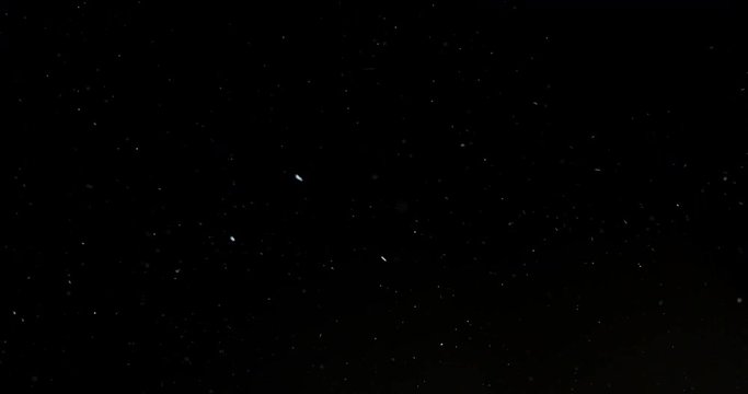 Ashes And Dust Particles Flying Around