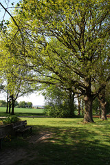 Obraz premium Der Westerberg in Osnabrück