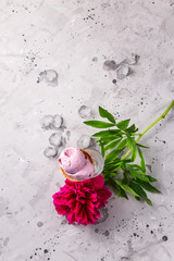 Summer bright natural dessert of their berries with a flower