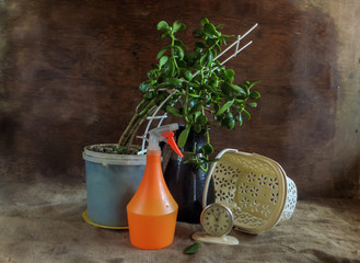 Orange spray and homemade green flower in a pot next to the clock, blue jug, and basket on a dark background.