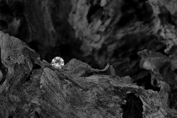 A Single Diamond on a Dried Tree Root, Showing the Facet Cut of the Gem Stone with the Harsh...