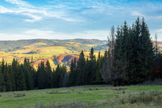 autumn countryside landscape in mountains. rural fields on the distant hills in evening light. cloudscape on a blue sky above the distant ridge. spruce forest in shade of a hill.