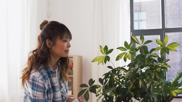 people, housework and care concept - happy asian woman or housewife spraying houseplant with water sprayer and cleaning leaves by tissue at home