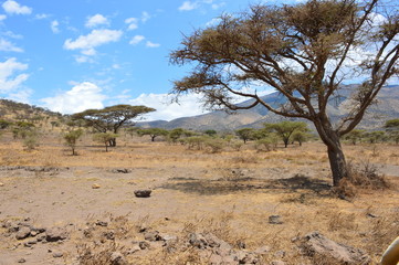 Rocky landscape serengeti