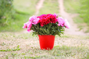 Beautiful red and pink peony flowers bouquet in the bucket on rural nature background