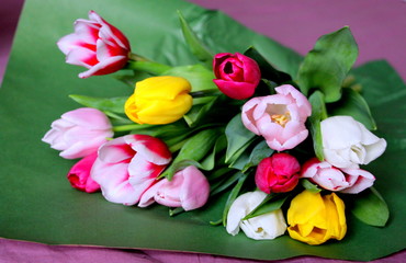Multicolored fresh tulips. A bouquet of spring flowers.