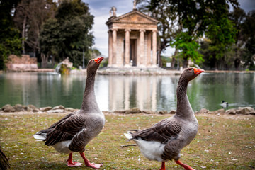 Temple of Aesculapios at Villa Borghese Gardens in Rome