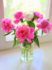 Naklejka na ściany i meble Pink delicate flowers Peonies on the window.