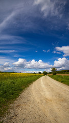 ein Feldweg in ein Rapsfeld vor blauem Himmel mit Wolken