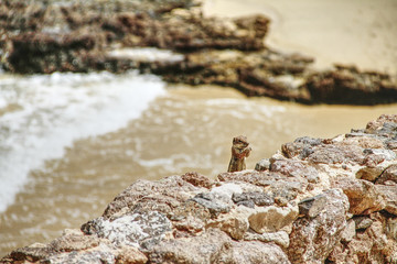 My little Friend