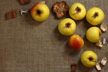 Yellow apples lie on the cloth burlap. Autumn fruit harvest on a textural beige background. 