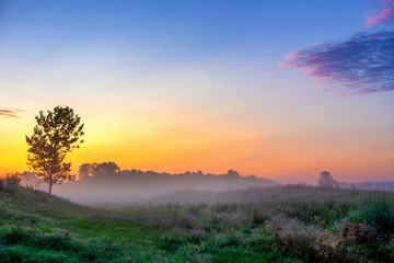 Fototapeta na wymiar Sunrise over a foggy meadow with trees in vivid colors