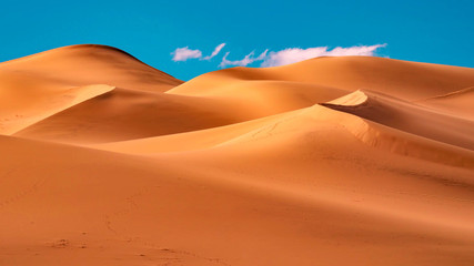Fototapeta na wymiar Picturesque desert landscape with dunes