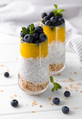 Two Glasses of chia pudding with blueberries, mango mousse and oat granola on the kitchen table.