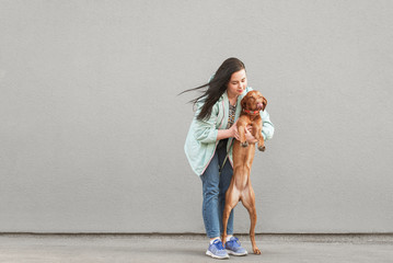 Woman wearing a casual wearing a dog standing against a background of a gray wall and hugging. Owner hugs a dog on two legs, a walk with a pet