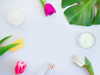 cosmetic cream, flower tulip, monstera leaf salt on a colored background