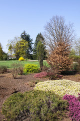 Fototapeta na wymiar Spring landscape in botanical garden in beginning of May