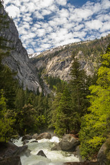 Obraz premium The Merced River, Yosemite National Park, California, USA