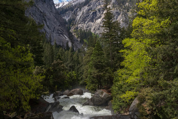 Fototapeta na wymiar The Merced River, Yosemite National Park, California, USA