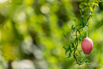 Red easter egg hanging on a plant