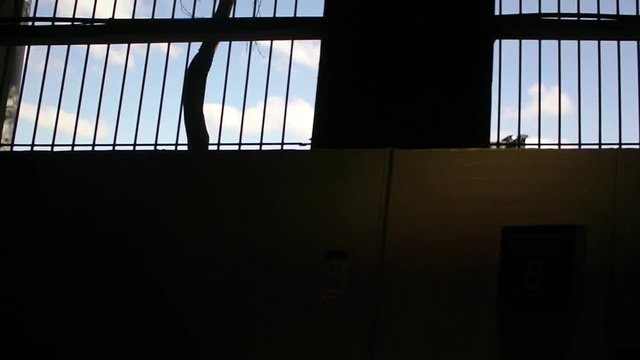 View from Parisian Metro Train RER window of the dark tunnel with light stripes and security fences on top of tunnel and a detail of Debilly Footbridge