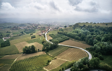Fototapeta na wymiar aerial photo of Piedmont vineyards 