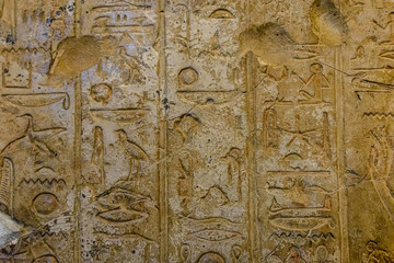 Egyptian ancient hieroglyphs on the stone wall