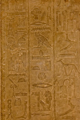 Egyptian ancient hieroglyphs on the stone wall