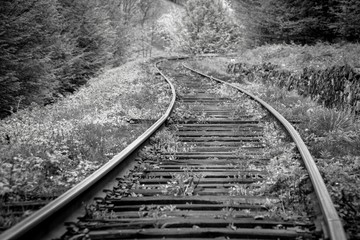 Fototapeta premium Mysterious railway curve lost in a forest