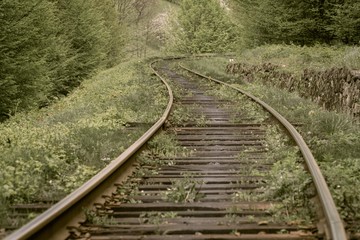 Mysterious railway curve lost in a forest