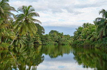 Fototapeta na wymiar Emerald jungle on the river Rio Diablo, Panama