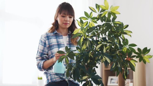 people, housework and care concept - happy asian woman or housewife spraying houseplant with water sprayer and cleaning leaves by tissue at home