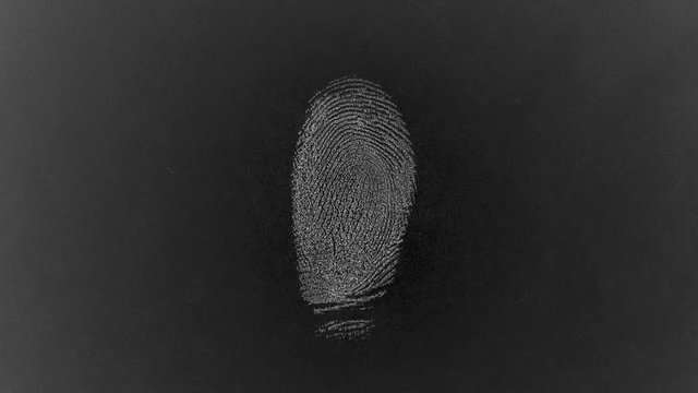 Fingerprint Database Scan, Textured. A loop of different fingerprints cycling through a database to overlay on other footage.