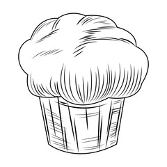 Fresh fruit nutrition healthy