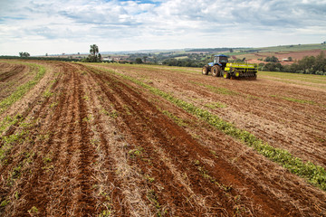 Plantio de trigo direto