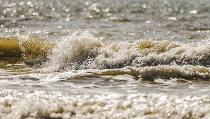 Green-tinted waves crashing against a sandy beach