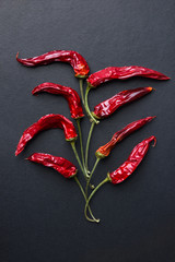 Creative food artwork. Bush tree made from dried hot chili peppers on black background. Ingredients...