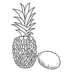 Fresh fruit nutrition healthy black and white hand drawn