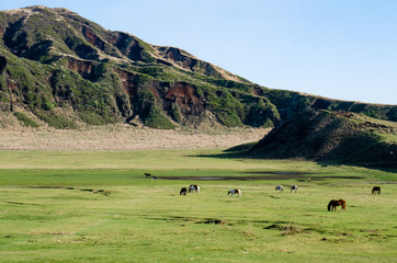 熊本・阿蘇 草千里の風景