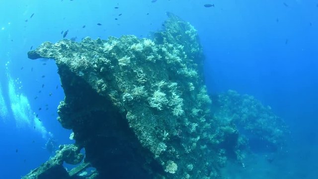 Liberty Shipwreck. Underwater world. Fish, coral reeff, blue ocean. Tulamben, Bali, Indonesia.