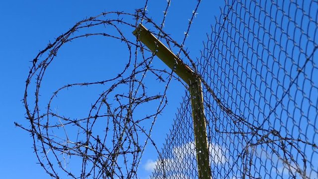 fence of a garden with barbed wires, barbed wires and blue sky