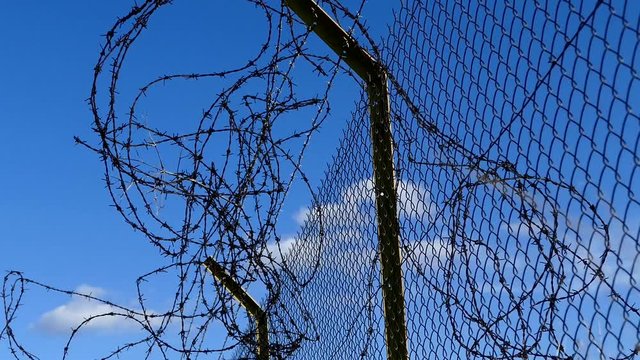 fence of a garden with barbed wires, barbed wires and blue sky