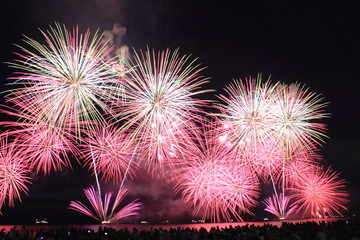 滋賀県彦根市の琵琶湖岸で行われた花火大会