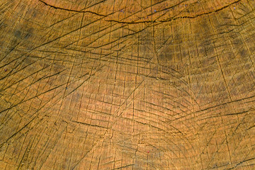 Fototapeta premium Natural wooden texture for the background. Cross section