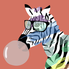 colorful zebra ware glasses and chew the gum