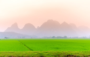 Suburban landscape of Ha Tay, Vietnam real peace, and relaxation rustic soul