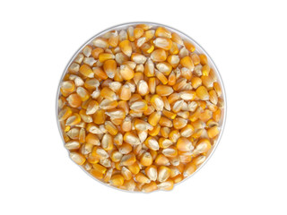 corn seed raw material food feed for human and animal on white background isolate